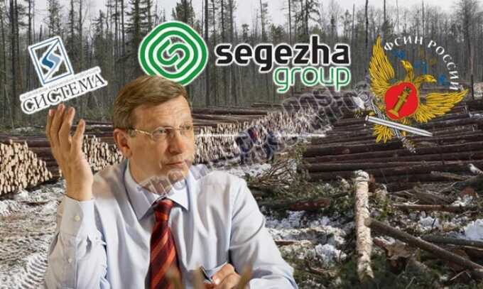  "  ":  Segezha Group ""  