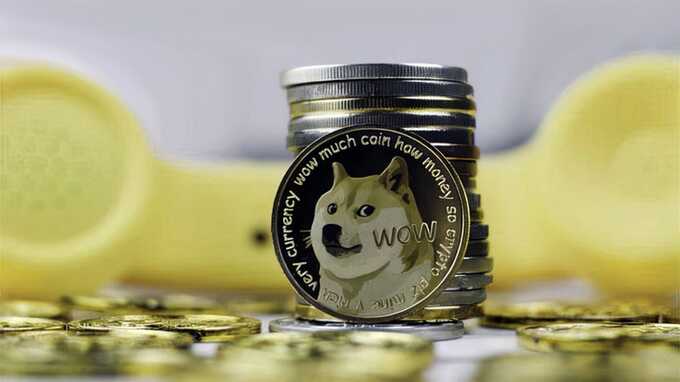  , SpaceX  Tesla    $258    Dogecoin