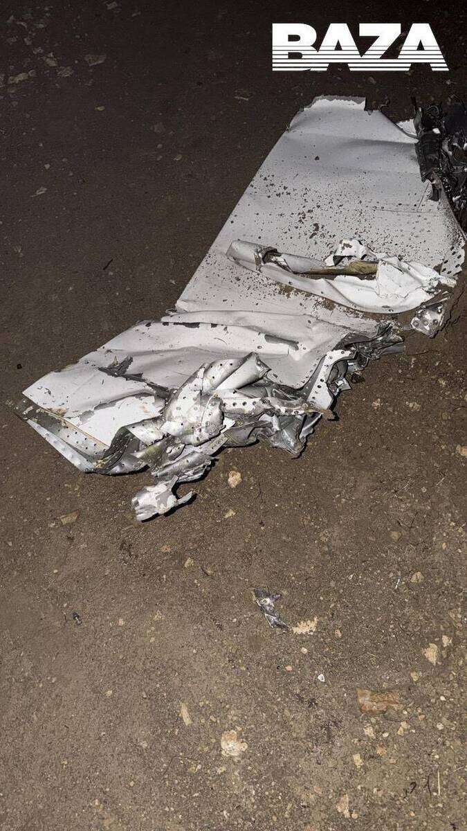  tidttiqzqiqkdvls qrxiquiuqirukrt